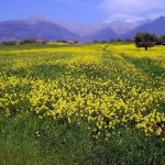 Samothraki